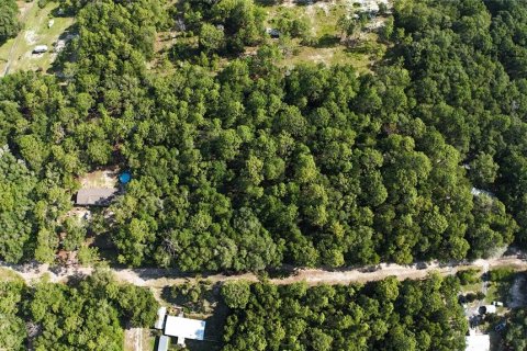 Terreno en venta en Dunnellon, Florida № 2222527 - foto 7