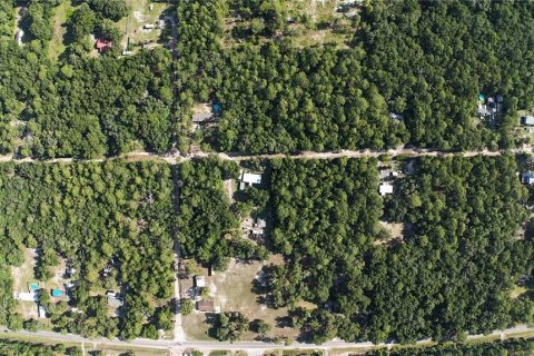 Terreno en venta en Dunnellon, Florida № 2222527 - foto 6