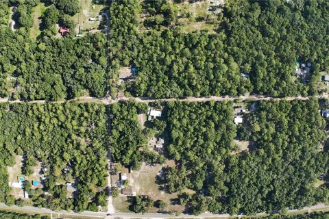 Terreno en Dunnellon, Florida № 2222527