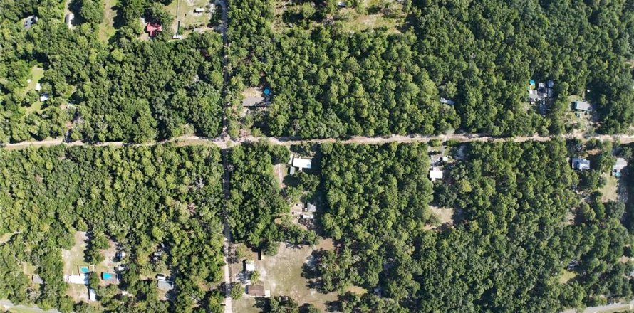 Terreno en Dunnellon, Florida № 2222527