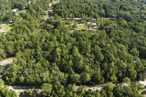 Terreno en venta en Dunnellon, Florida № 2222527 - foto 12