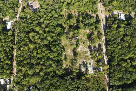 Terreno en venta en Dunnellon, Florida № 2222527 - foto 3