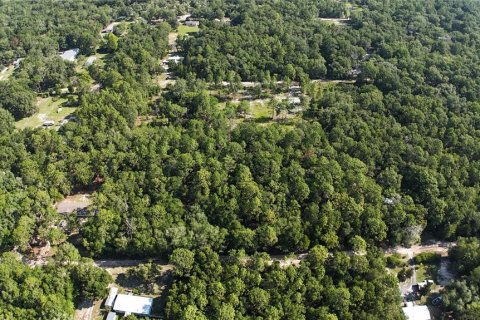 Terreno en venta en Dunnellon, Florida № 2222527 - foto 5