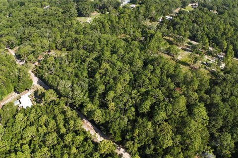 Terreno en venta en Dunnellon, Florida № 2222527 - foto 13