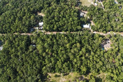 Terreno en venta en Dunnellon, Florida № 2222527 - foto 4