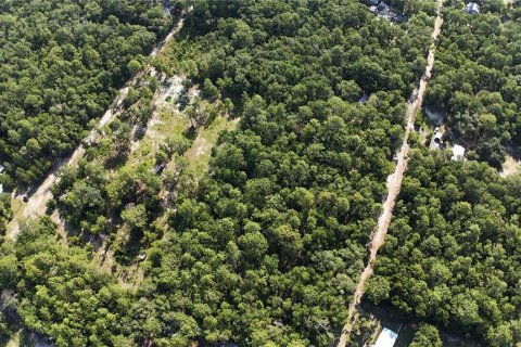 Terreno en venta en Dunnellon, Florida № 2222527 - foto 10