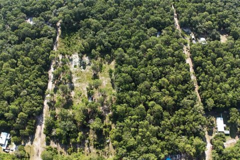 Terreno en venta en Dunnellon, Florida № 2222527 - foto 9