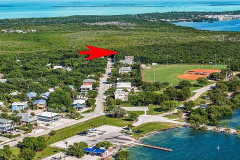 Land in Tavernier, Florida № 1842852 - photo 1