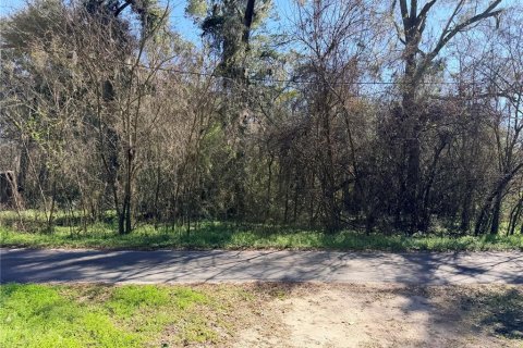 Land in Alachua, Florida № 2162007 - photo 2