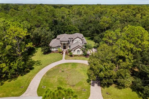 Casa en venta en New Port Richey, Florida, 6 dormitorios, 394.83 m2 № 1902777 - foto 3
