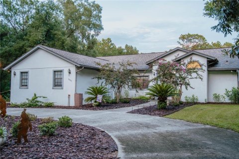Villa ou maison à Floral City, Floride 3 chambres, 180.88 m2 № 2333959