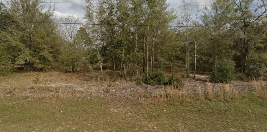 Terrain à Interlachen, Floride № 2229993