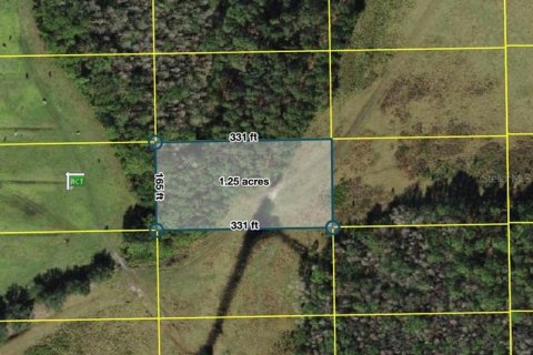 Land in Polk City, Florida № 2160408 - photo 3