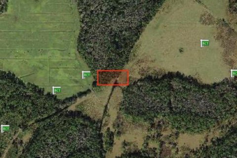 Land in Polk City, Florida № 2160408 - photo 2