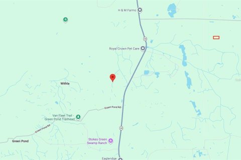 Land in Polk City, Florida № 2160408 - photo 5