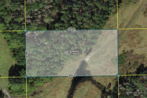 Land in Polk City, Florida № 2160408 - photo 4