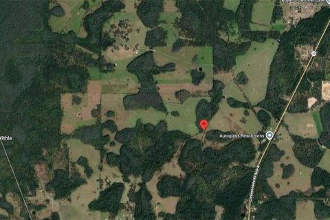 Land in Polk City, Florida № 2160408 - photo 8