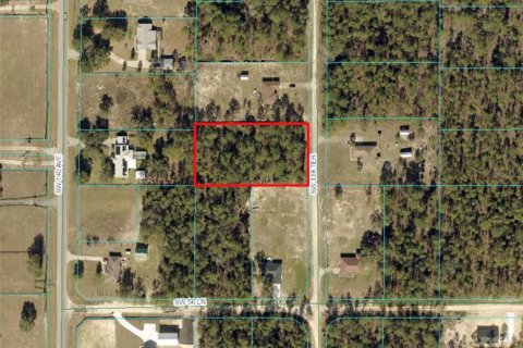 Land in Ocala, Florida № 1192589 - photo 2