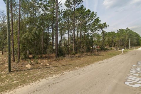 Land in Ocala, Florida № 1192589 - photo 1