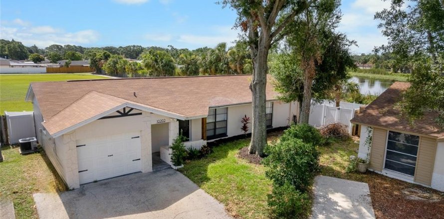 House in Tampa, Florida 3 bedrooms, 119.29 sq.m. № 1781007