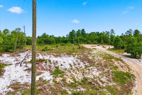 Land in Lake Wales, Florida № 2164714 - photo 9
