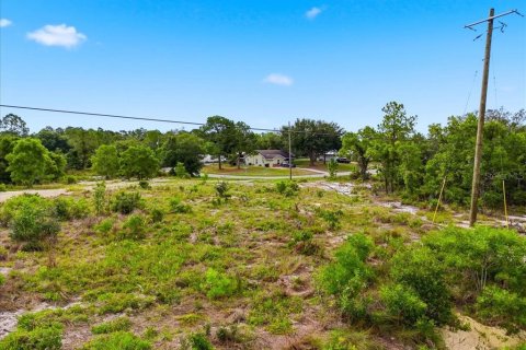 Land in Lake Wales, Florida № 2164714