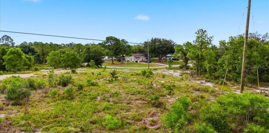 Land in Lake Wales, Florida № 2164714