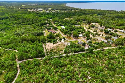 Land in Lake Wales, Florida № 2164714 - photo 7