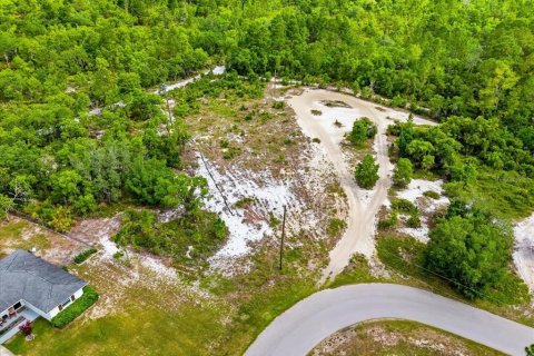 Land in Lake Wales, Florida № 2164714 - photo 12