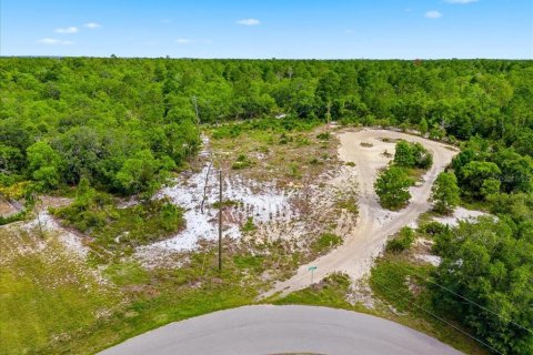 Land in Lake Wales, Florida № 2164714 - photo 6