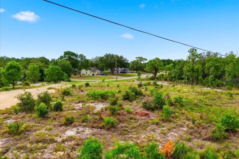 Land in Lake Wales, Florida № 2164714 - photo 8