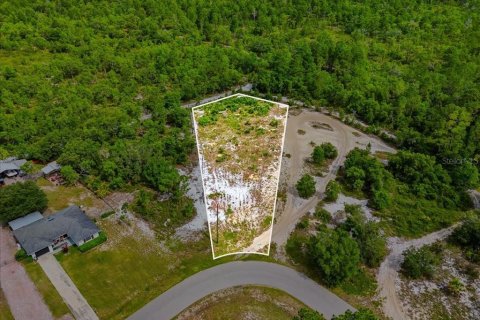 Land in Lake Wales, Florida № 2164714 - photo 3