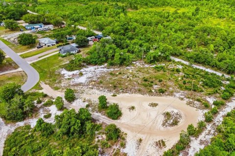 Land in Lake Wales, Florida № 2164714 - photo 11