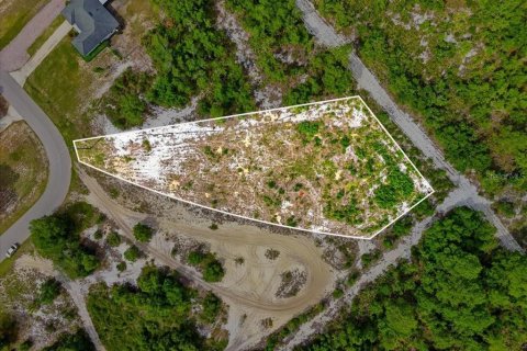 Land in Lake Wales, Florida № 2164714 - photo 4
