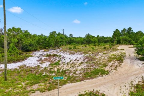 Land in Lake Wales, Florida № 2164714 - photo 10