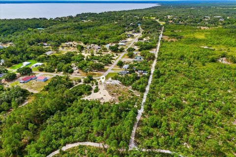 Land in Lake Wales, Florida № 2164714 - photo 5