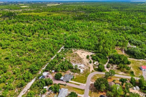 Land in Lake Wales, Florida № 2164714 - photo 13