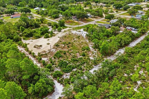 Land in Lake Wales, Florida № 2164714 - photo 14