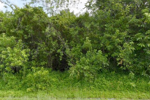 Commercial property in Port St. Lucie, Florida № 2184715