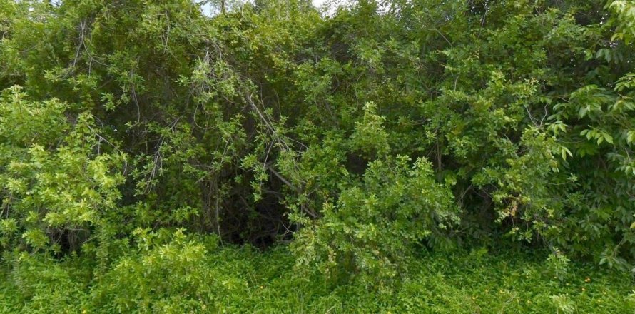 Commercial property in Port St. Lucie, Florida № 2184715