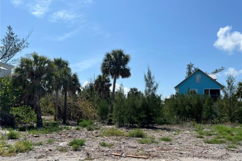 Terreno en venta en Placida, Florida № 1680697 - foto 5