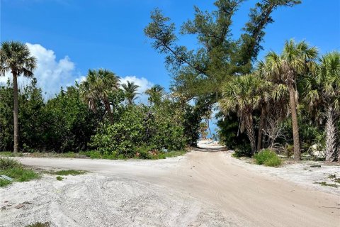 Terreno en venta en Placida, Florida № 1680697 - foto 10