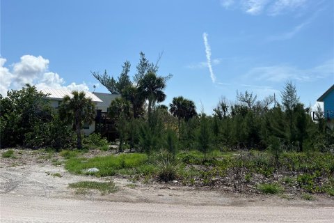 Terreno en venta en Placida, Florida № 1680697 - foto 8