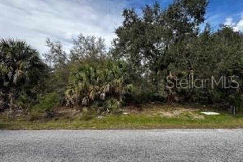 Terreno en Port Charlotte, Florida № 2161953