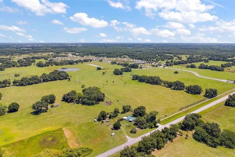 Land in Webster, Florida № 1201248 - photo 2