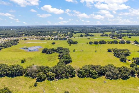 Land in Webster, Florida № 1201248 - photo 9