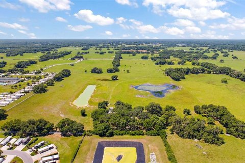 Land in Webster, Florida № 1201248 - photo 7