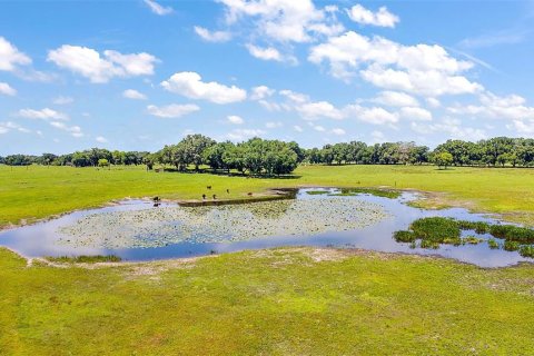 Land in Webster, Florida № 1201248 - photo 13
