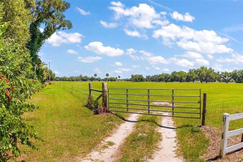 Land in Webster, Florida № 1201248 - photo 15