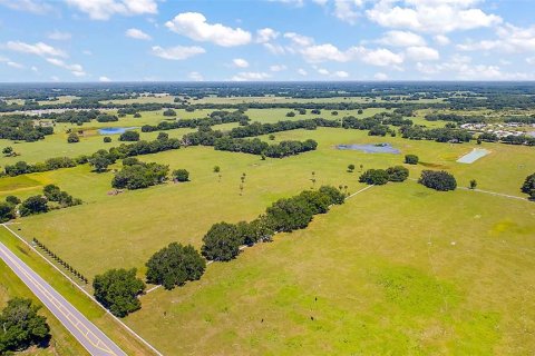 Land in Webster, Florida № 1201248 - photo 4